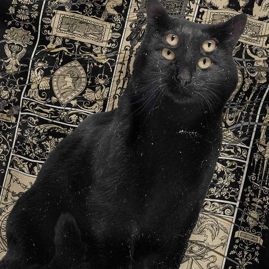Black Cat T-Shirt