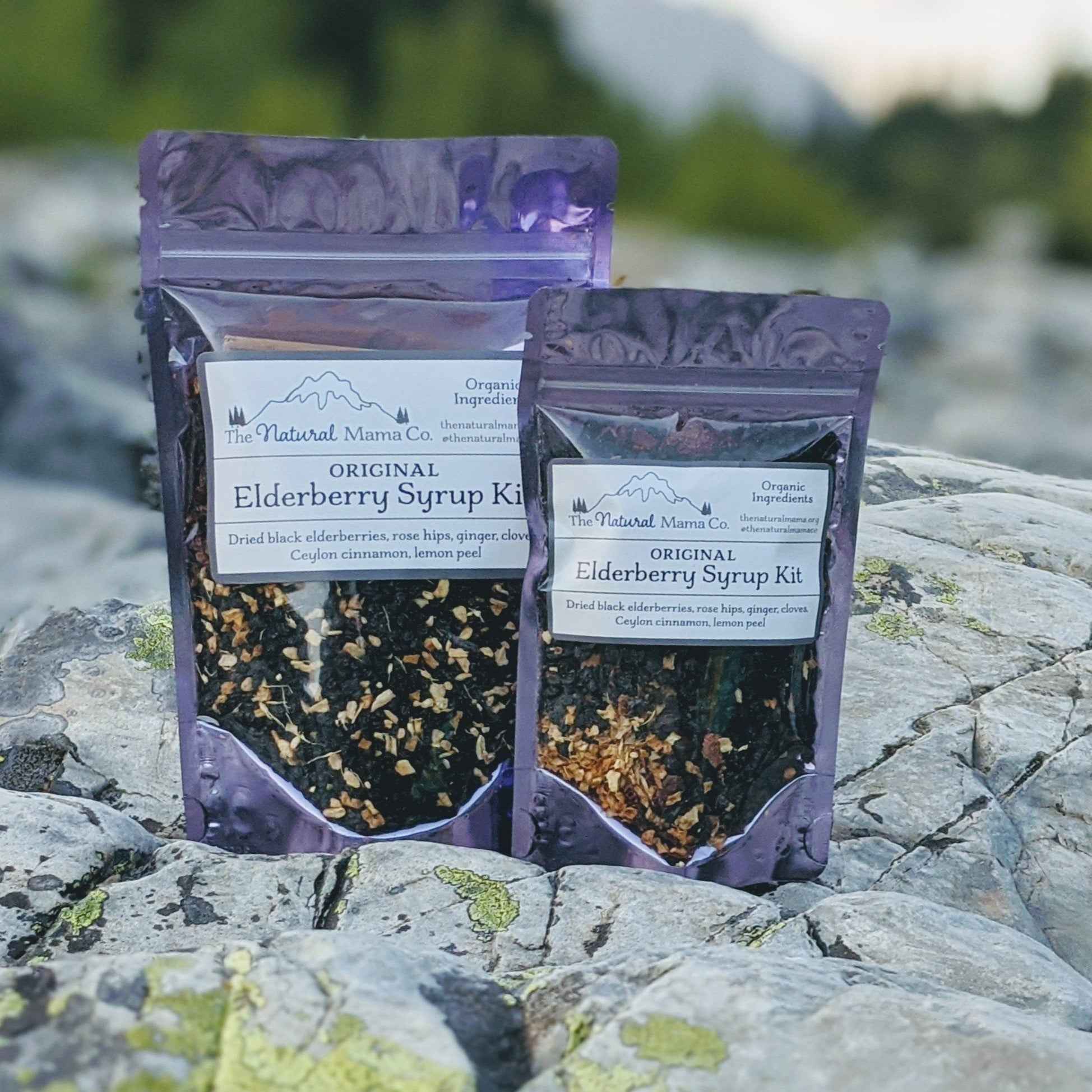 Super Sized Elderberry Syrup Kit - Original