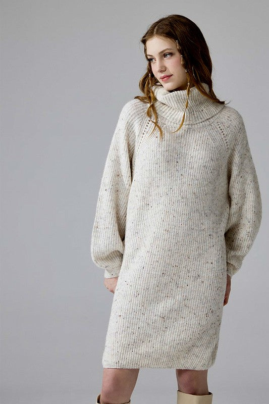 Turtleneck Balloon Confetti Sweater Dress