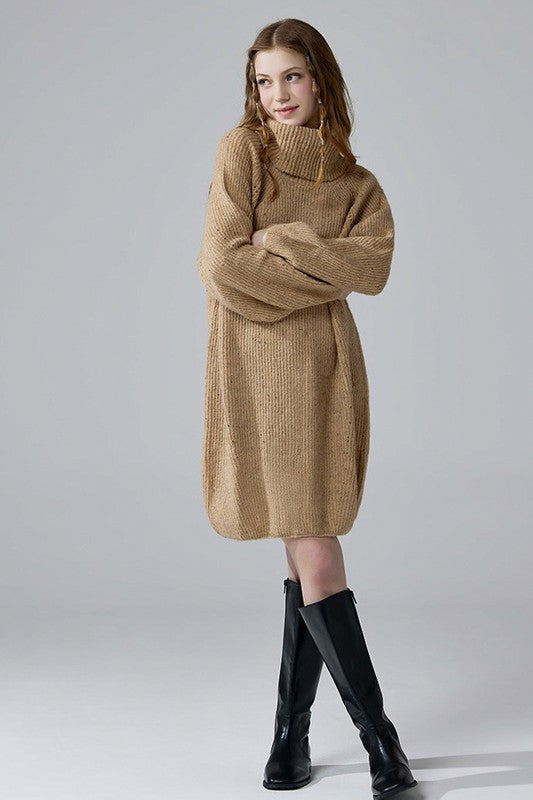 Turtleneck Balloon Confetti Sweater Dress