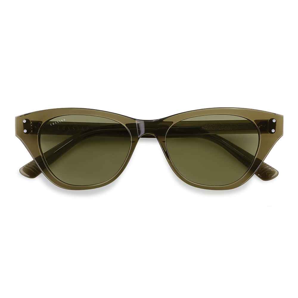 Belize Gato Acetate Sunglasses