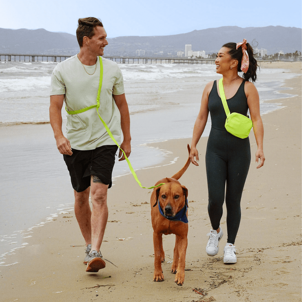 PVC Dog Collar - All Weather Waterproof Durable & Odor-Resistant