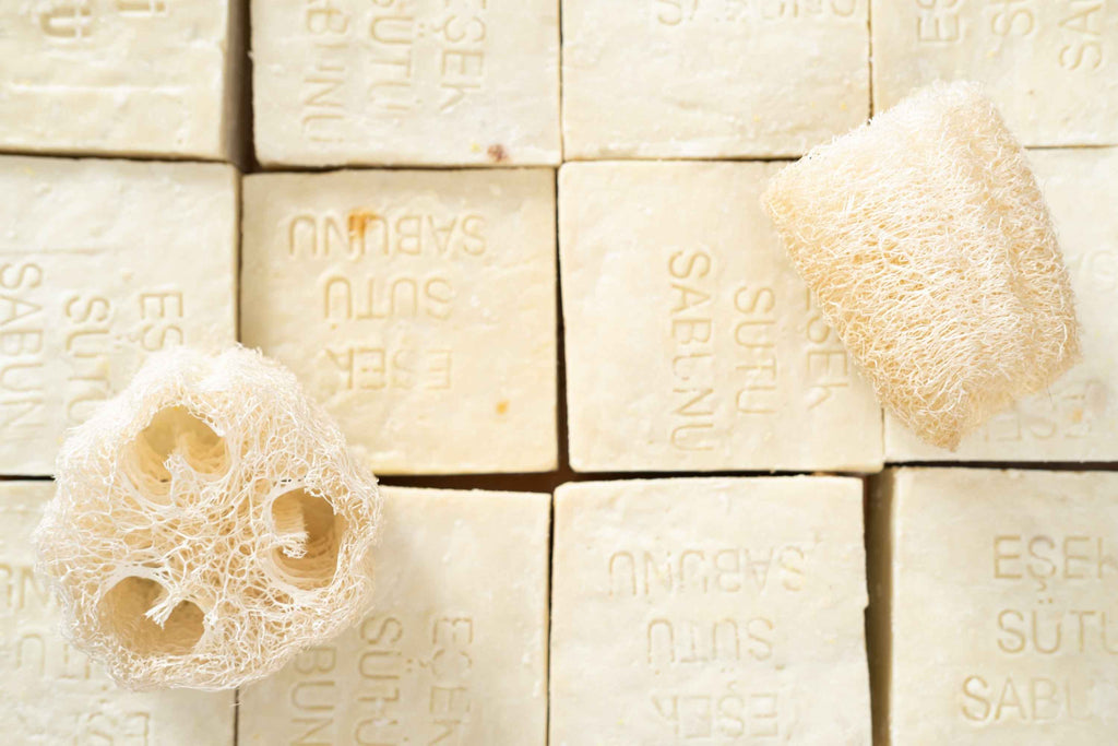 Donkey Milk Soap Bar