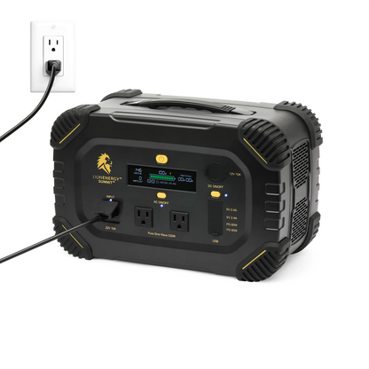 Lion Summit - Lolomo!