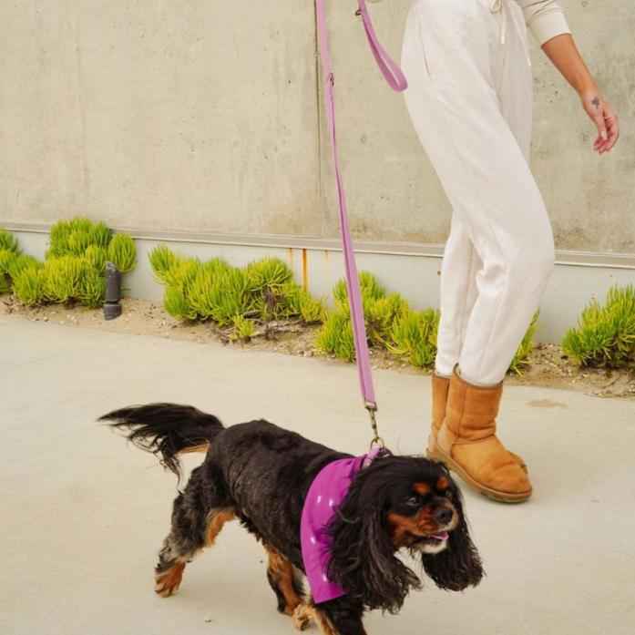 Malibu Sunset Sustainable Hemp Cotton Adjustable Dog Leash – Durable & Soft