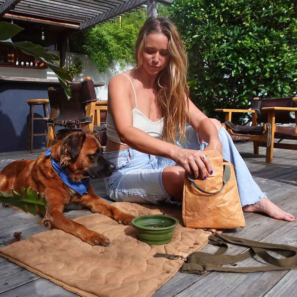 Convertible Dog Bag - Portable Travel Mat Bag for Pet Owners
