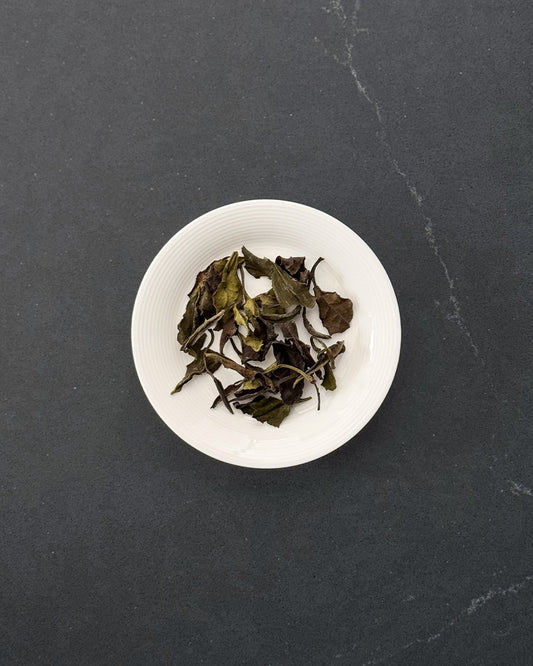 Sweet Water Wild White