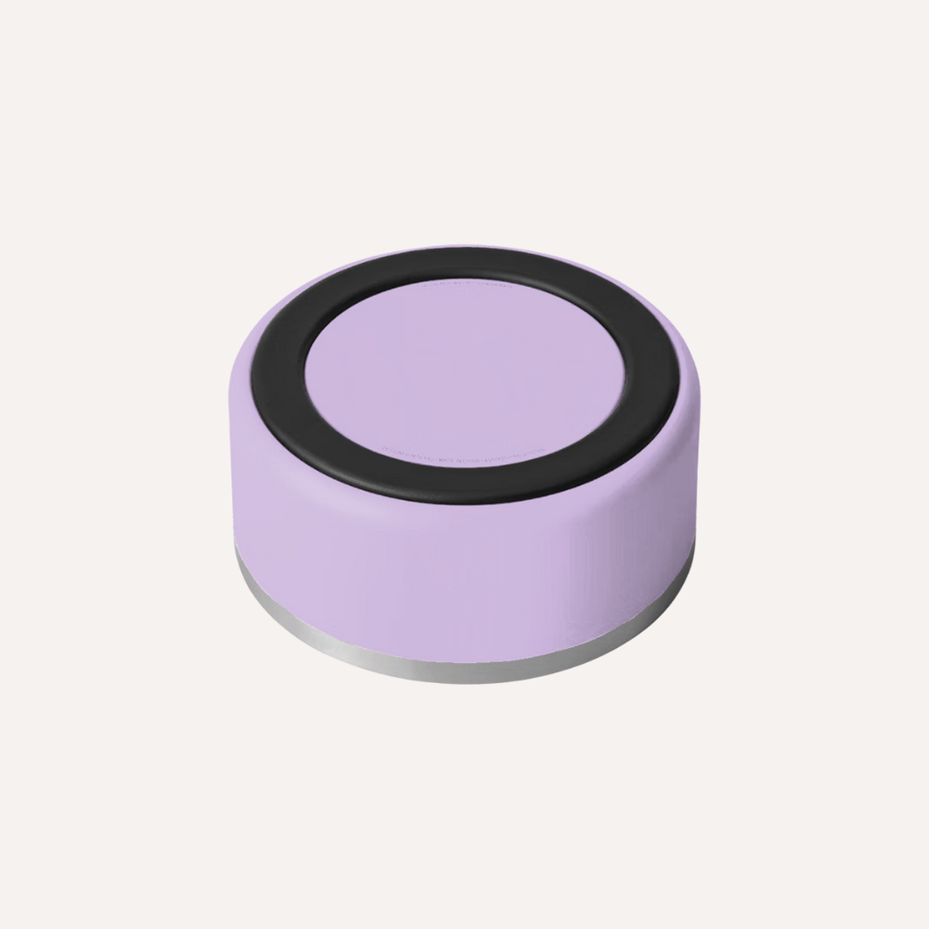 Stainless Steel Pet Bowl – Non-Slip, Durable & Dishwasher Safe | 32oz and 64oz - Lolomo!