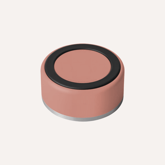 Stainless Steel Pet Bowl – Non-Slip, Durable & Dishwasher Safe | 32oz and 64oz - Lolomo!