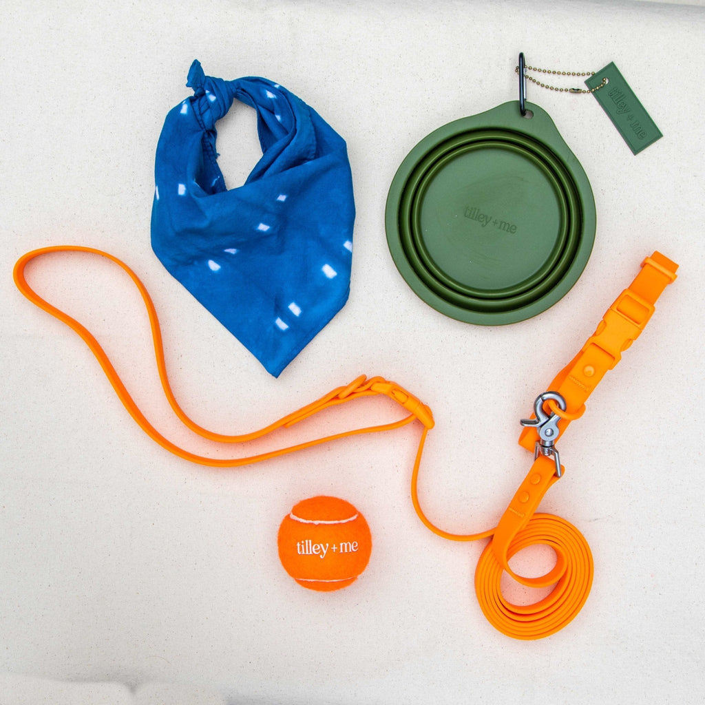 PVC Handsfree Dog Leash - All Weather Waterproof Durable & Odor-Resistant