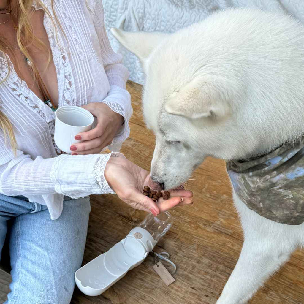 Travel Dog Water Bottle with Treat Holder – Leakproof & BPA-Free 350mL