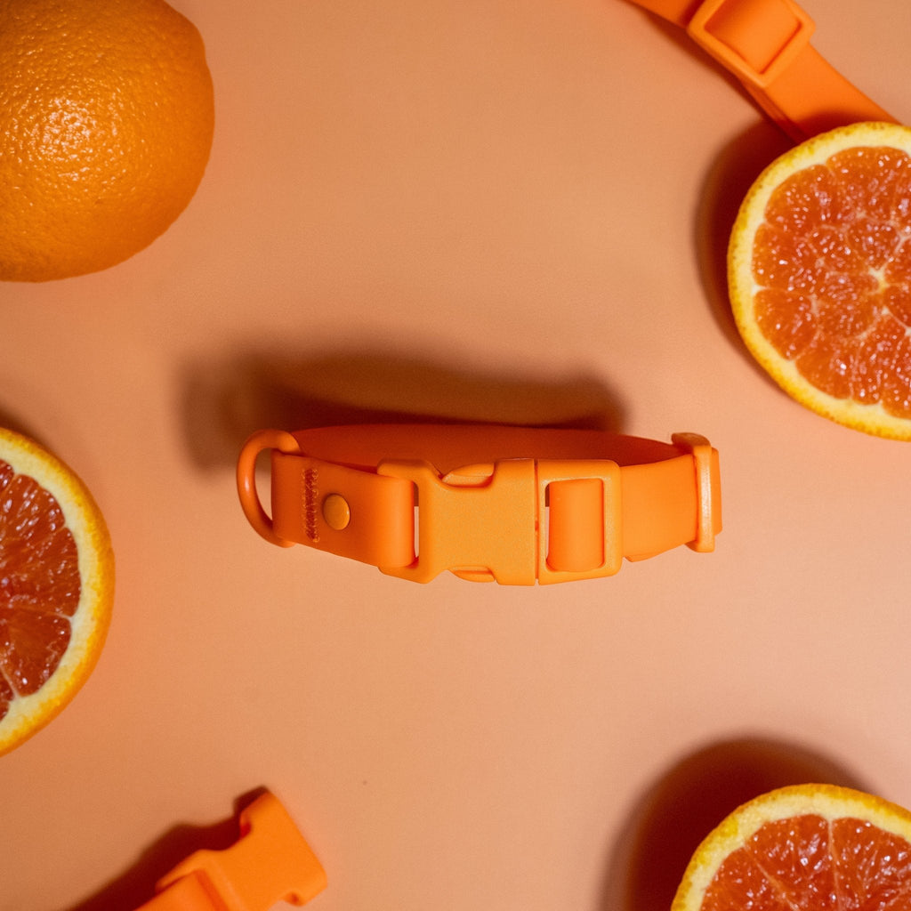 PVC Dog Collar - All Weather Waterproof Durable & Odor-Resistant