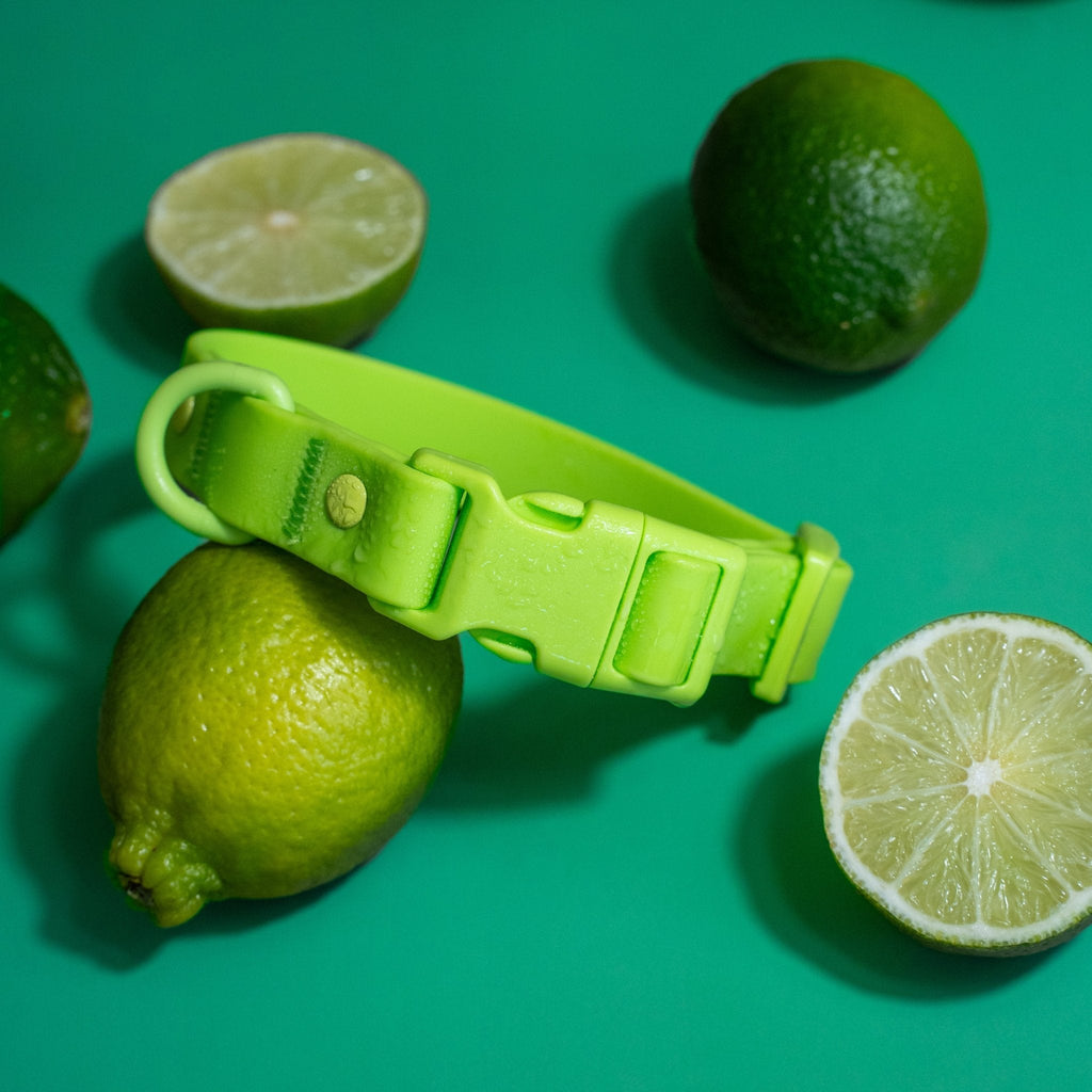 PVC Dog Collar - All Weather Waterproof Durable & Odor-Resistant