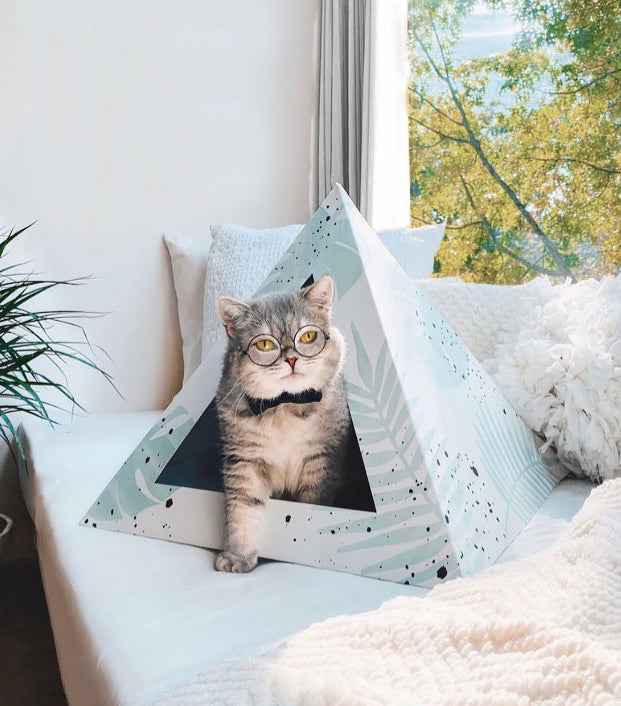 'Oasis' Cardboard Cat Pyramid