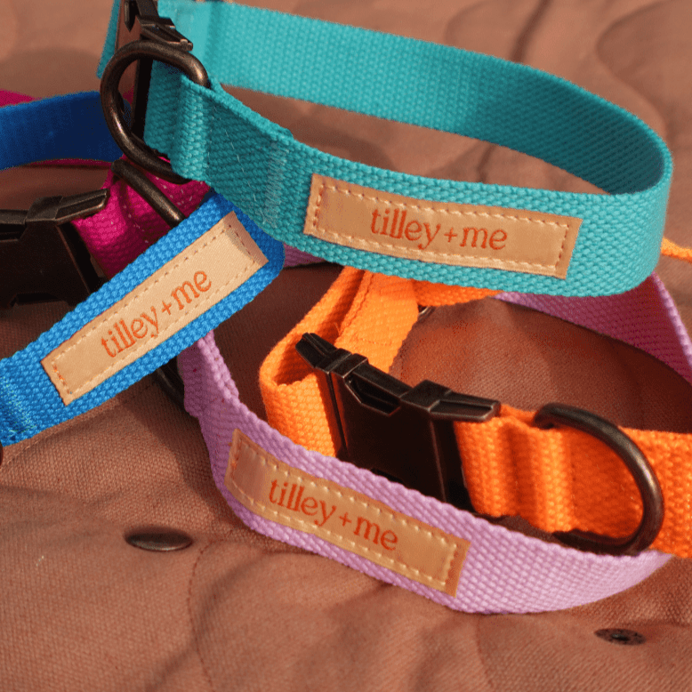 Malibu Sunset Sustainable Hemp Cotton Adjustable Dog Collar– Durable & Soft - Lolomo!