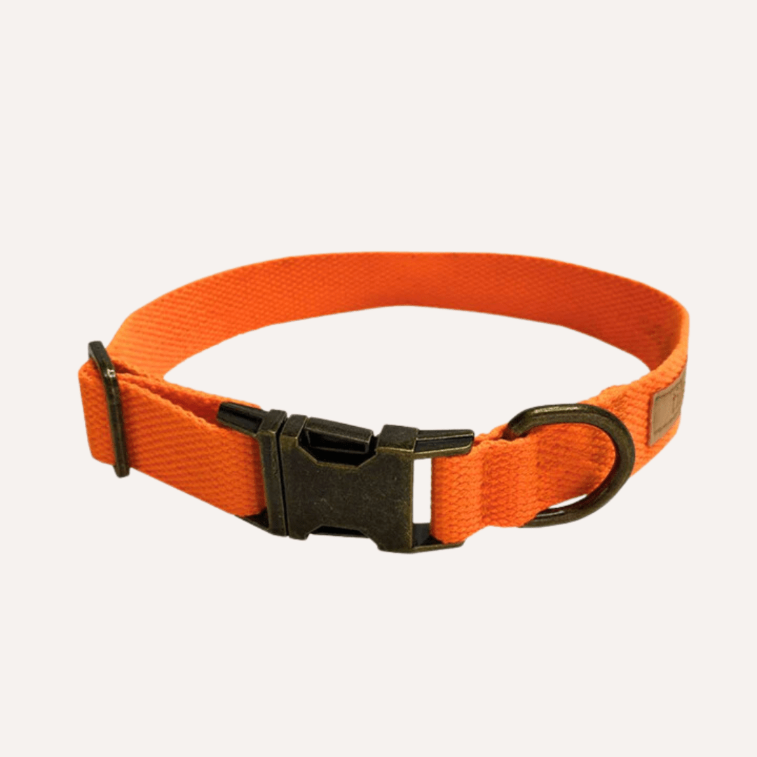 Malibu Sunset Sustainable Hemp Cotton Adjustable Dog Collar– Durable & Soft - Lolomo!