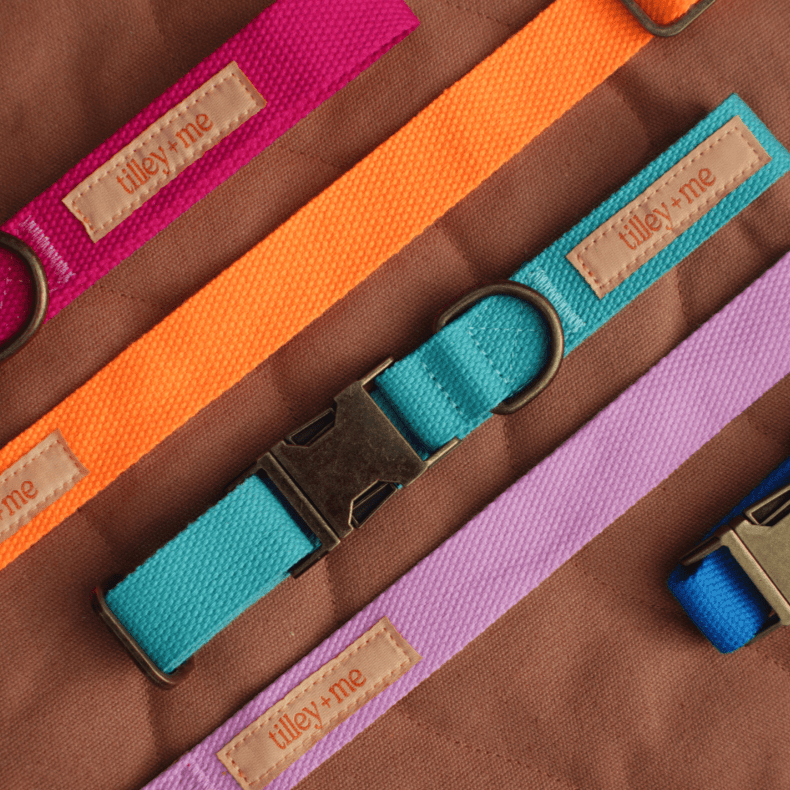 Malibu Sunset Sustainable Hemp Cotton Adjustable Dog Leash – Durable & Soft - Lolomo!