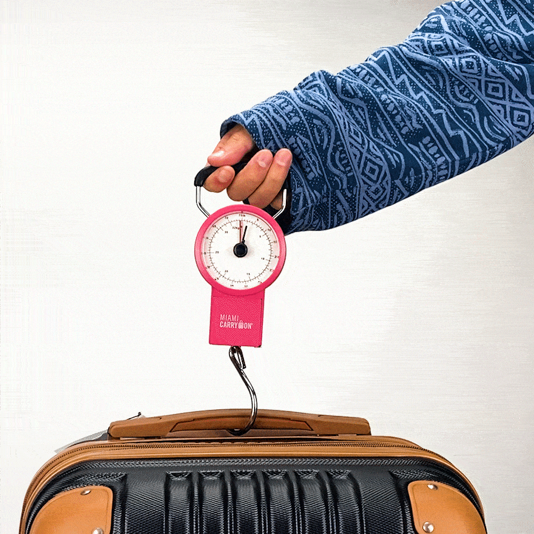 Essential Travel Kit Combo - Lolomo!