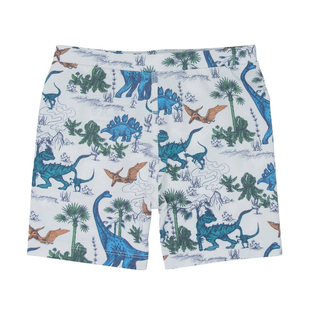 Dinosaur Adventures Summer Pajama Set