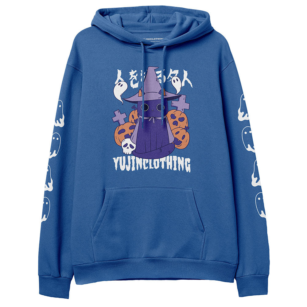 Master Manipulator Cat Hoodie - Lolomo!